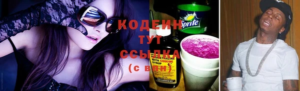 стаф Кодинск