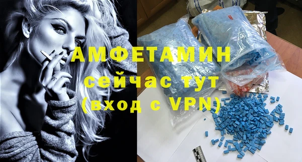стаф Кодинск