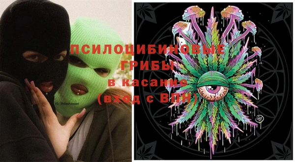 стаф Кодинск