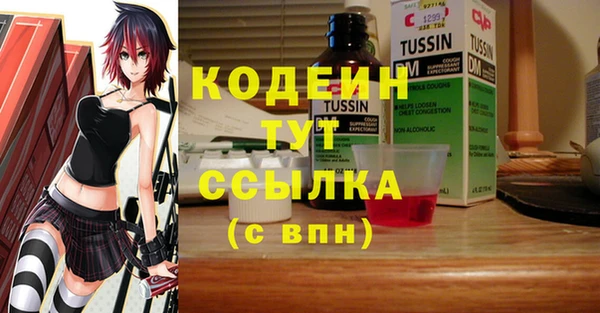 стаф Кодинск