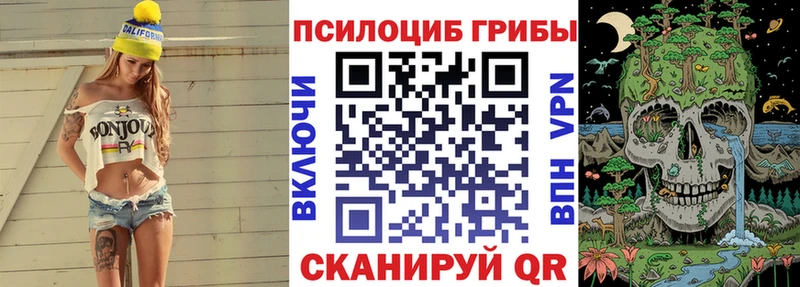 Галлюциногенные грибы мухоморы  Купить закладки  Дудинка 